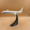Boeing 737-800 3D Model | Printable Airplane