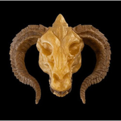 Pack de Crânios de Dragão Épicos - Modelos Fantasia Imprimíveis
