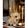 Epic Dragon Skull Pack - 3D Printable Fantasy Models